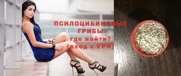 ГАЛЛЮЦИНОГЕННЫЕ ГРИБЫ Балахна