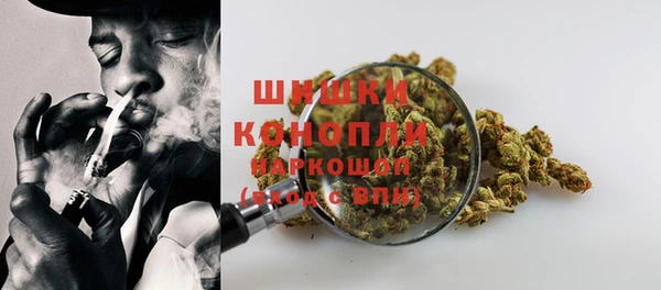 ГАЛЛЮЦИНОГЕННЫЕ ГРИБЫ Балахна