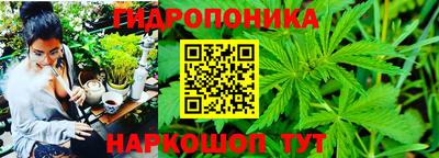 соль ск Гатчина