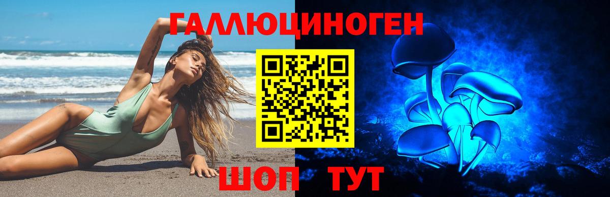 Псилоцибиновые грибы Psilocybine cubensis Сердобск